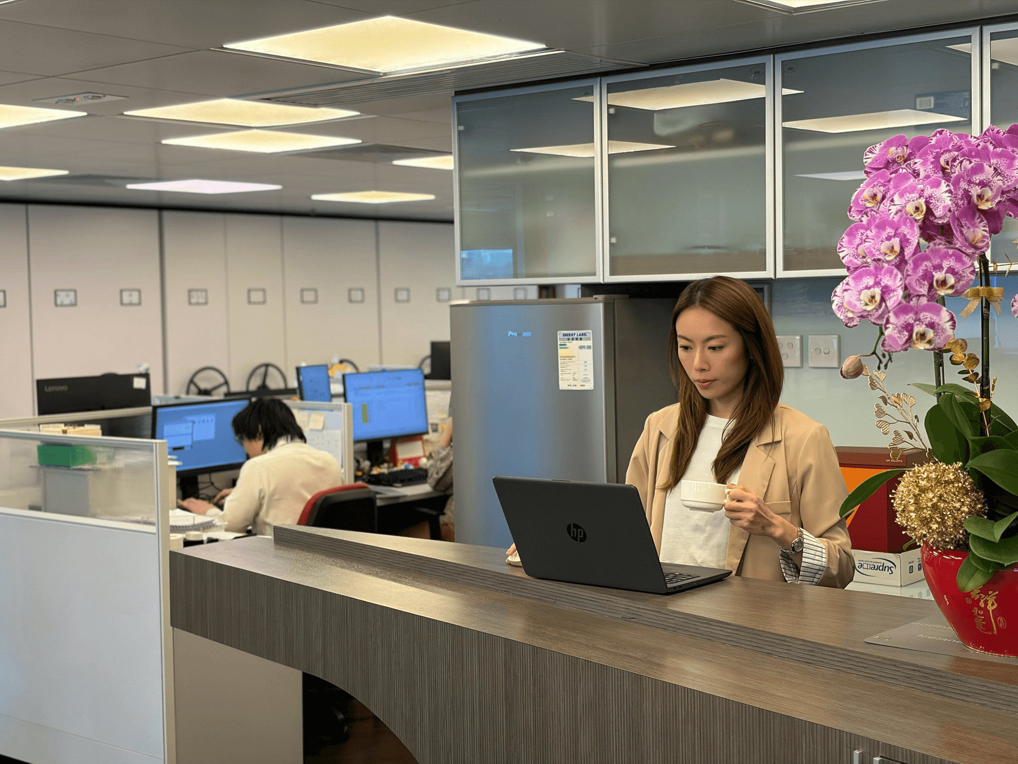 Modern office with professional at laptop